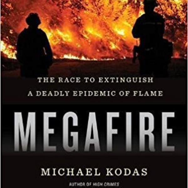Megafire book cover