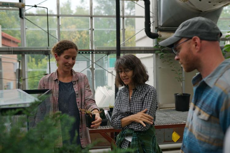 Additon, Royte and Scripps fellow Stephen Miller examine one of the many plants at the greenhouse.