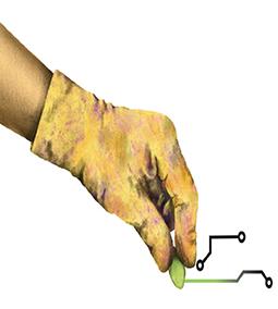 Illustration of a seed sprouting