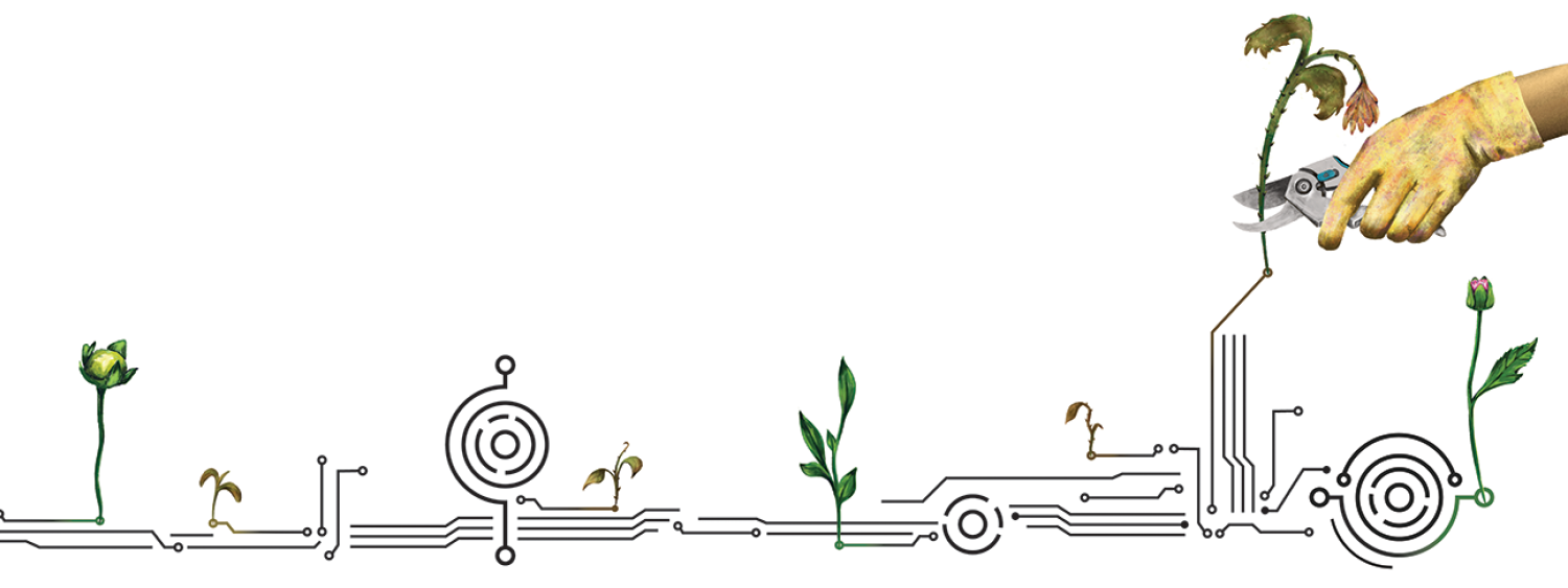 Illustration of watering flowers on a datastream