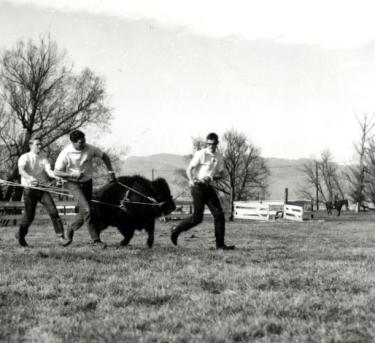 Ralphie I and handlers