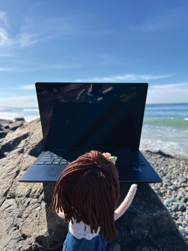 Lucy doll works on computer at the beach