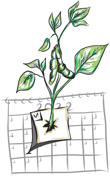 a plant sprouts from Monday on a 2022 calendar