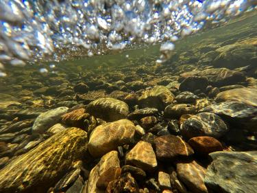 Looking into the Colorado River
