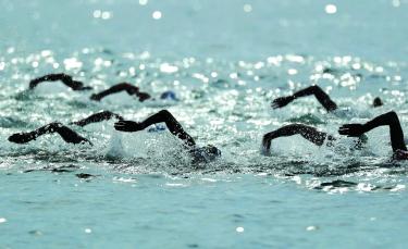Swimmers