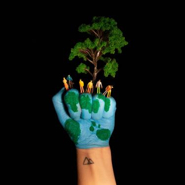 Merten handscape