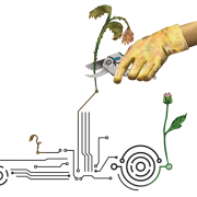 Illustration of watering flowers on a datastream