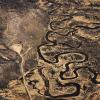 Colorado River, drying up
