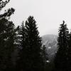 Flatirons peeking through trees