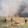 Wildfires thumbnail