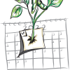 a plant sprouts from Monday on a 2022 calendar