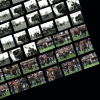 Ralphie collage