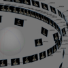 Bird in 360
