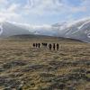 During their time at CU Boulder, Scripps fellows and environmental journalism students go on field trips related to a broad array of environmental topics, including climate change — a focus of this joint CEJ and Norwegian expedition to the Arctic archipelago of Svalbard. (Photo by Tom Yulsman)