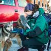 Zoe with dogs