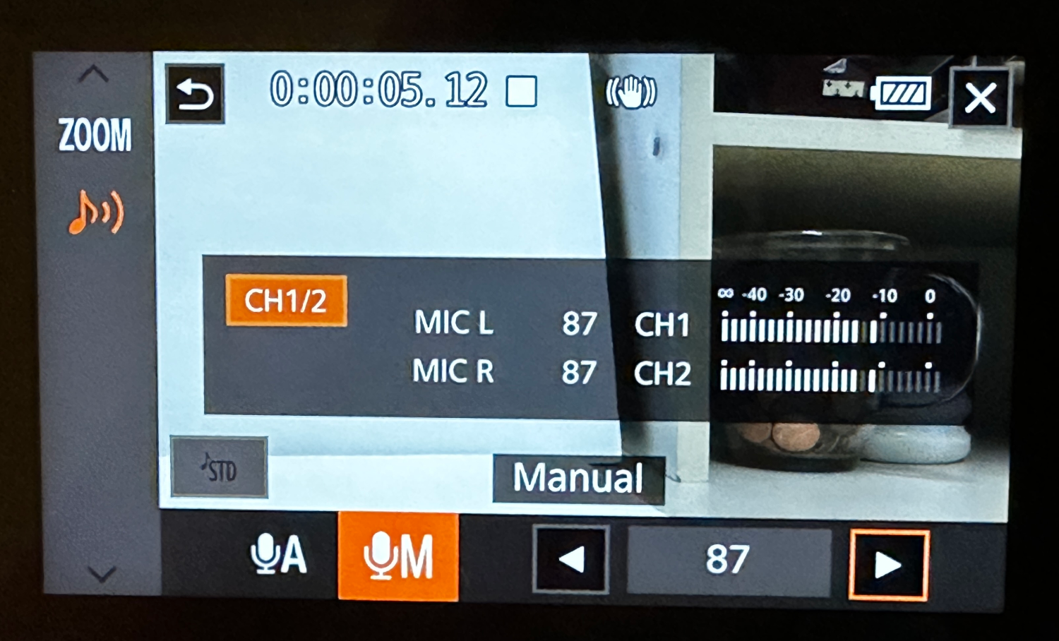 Mic screen
