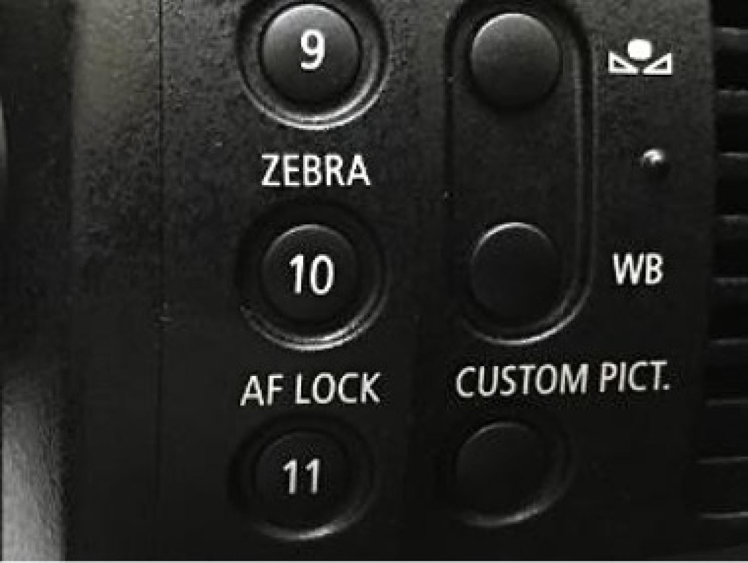 Zebra button