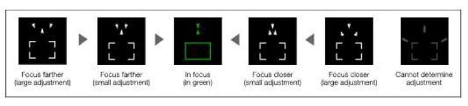 Focus guide frame stages