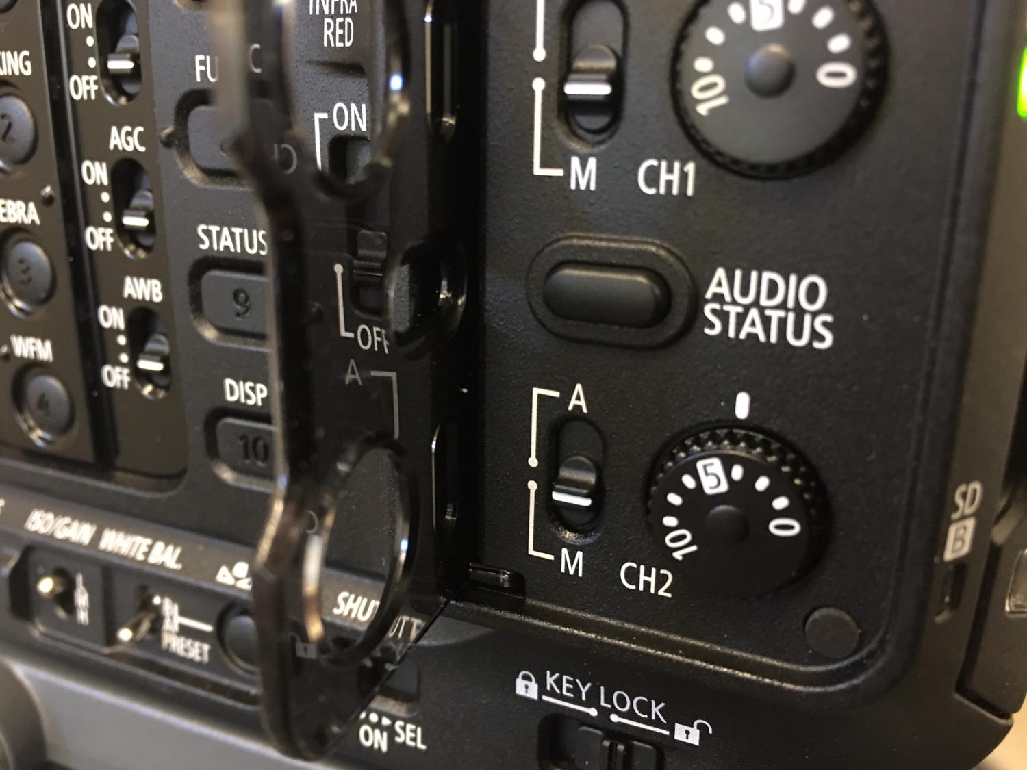 Audio status button