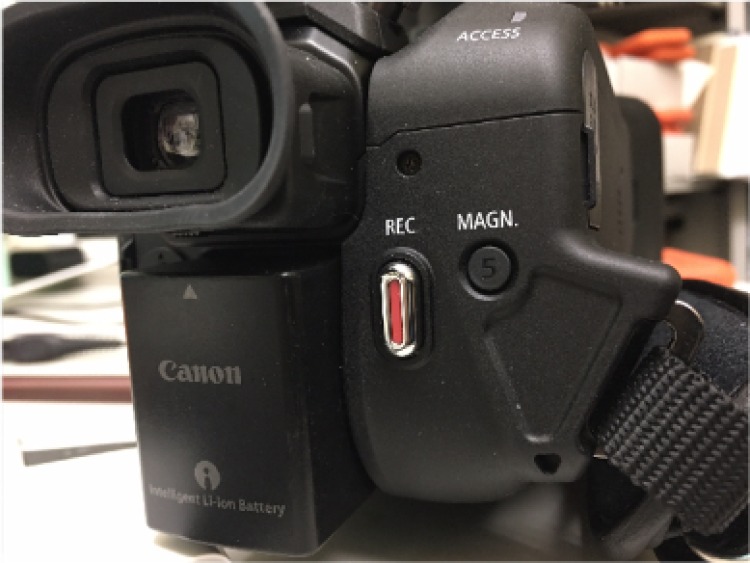 MAGN button