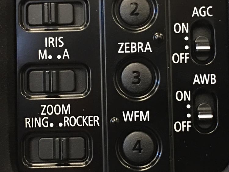 Zebra switch