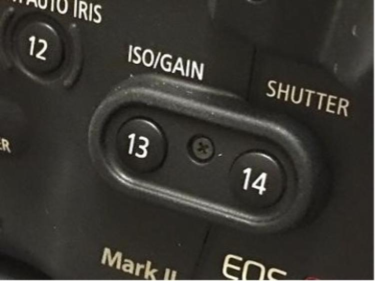 ISO/Gain button