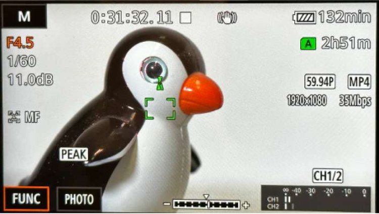 Cute penguin demonstrating focus guide