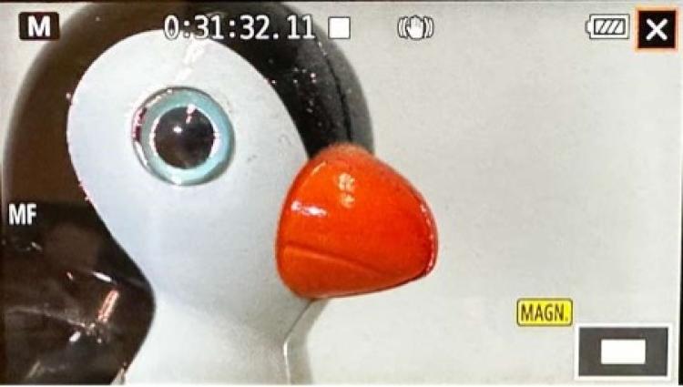 Magnification example