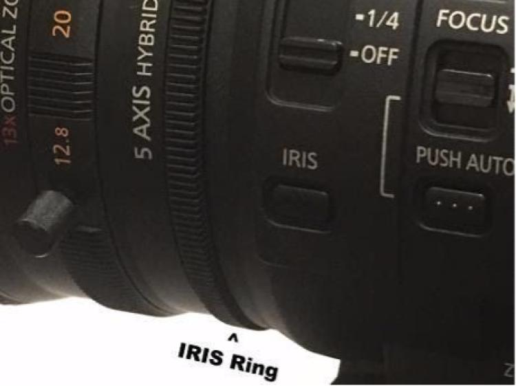 Iris ring