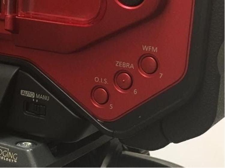 Zebra button