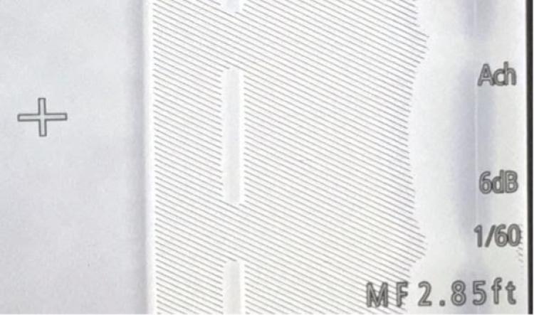 Zebra example