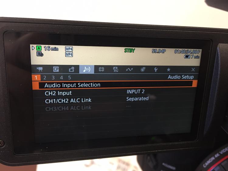 Audio settings screen