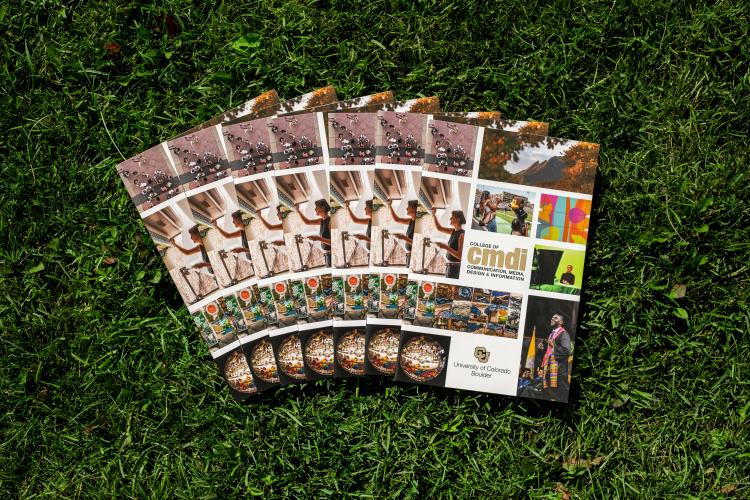 CMDI's admission brochure is spread across a bed of grass