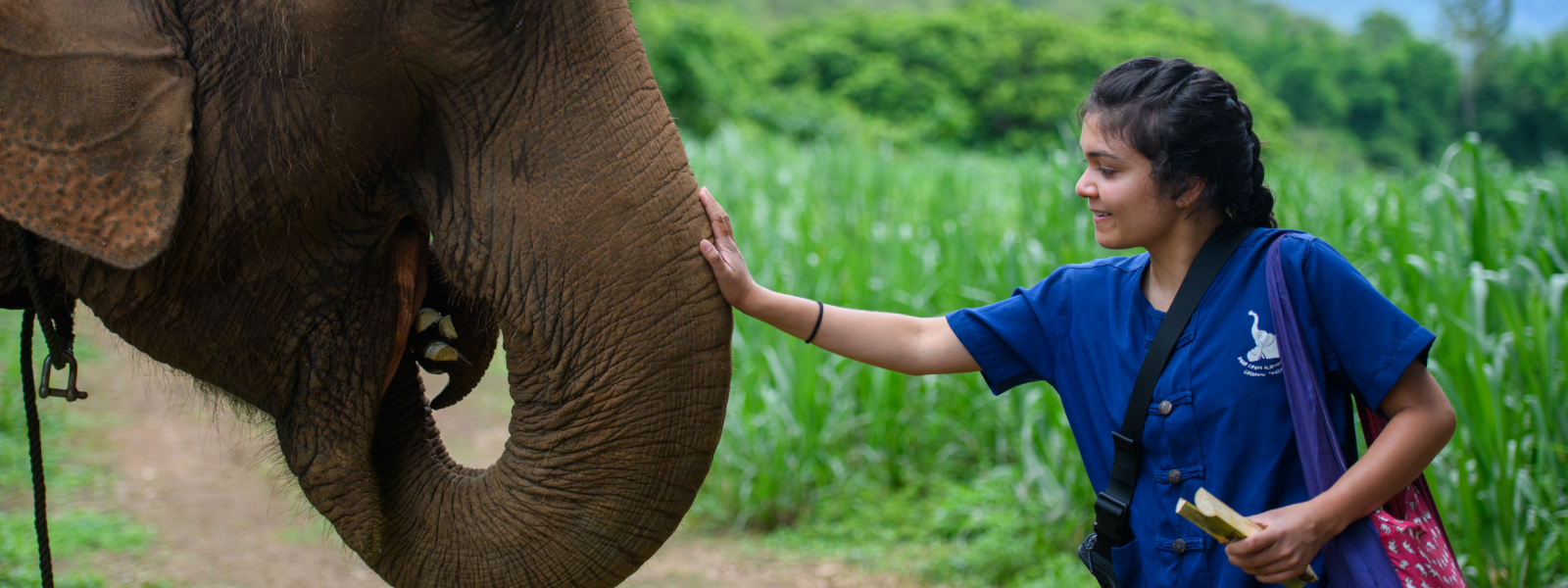 A student touches an elephant in Thailand.