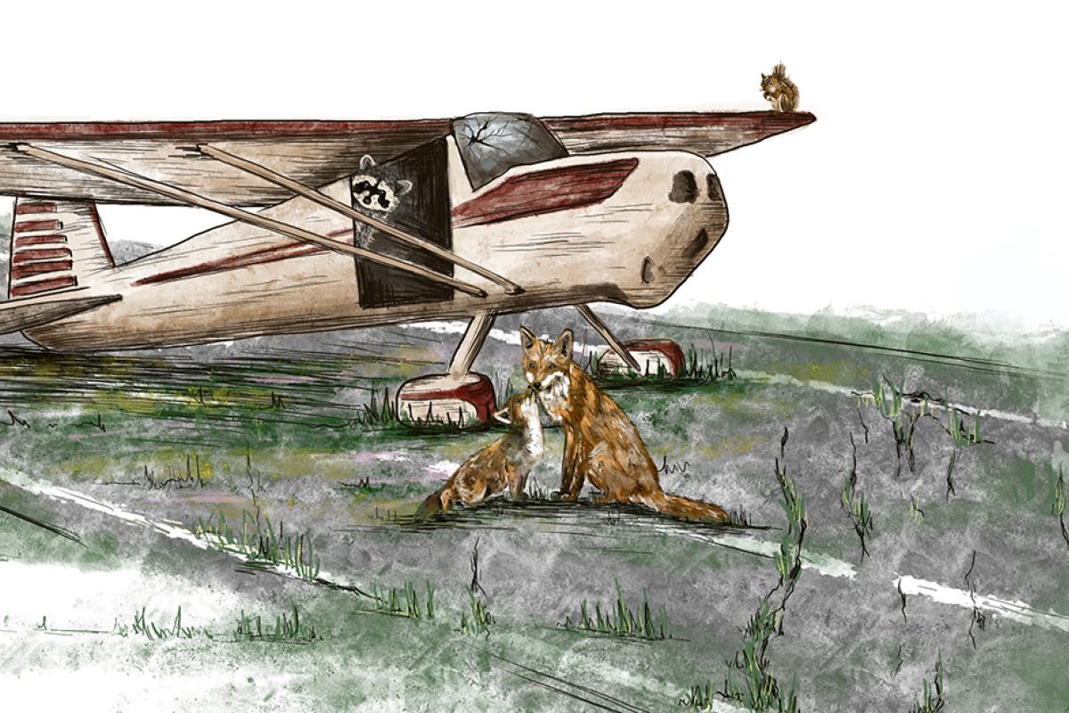 Illustration of a plane sitting on green grass
