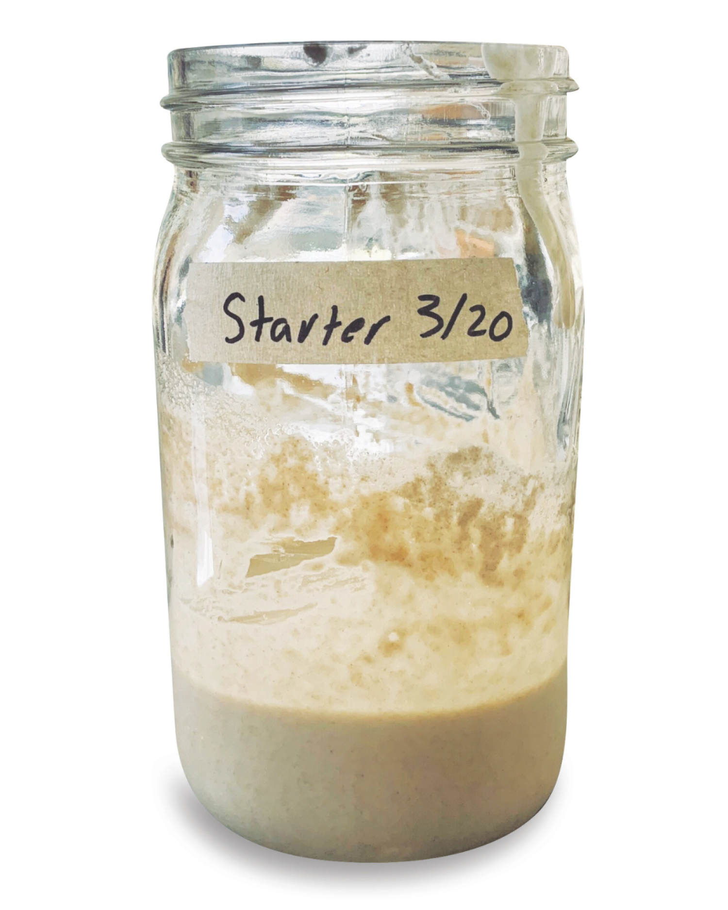 sourdough starter