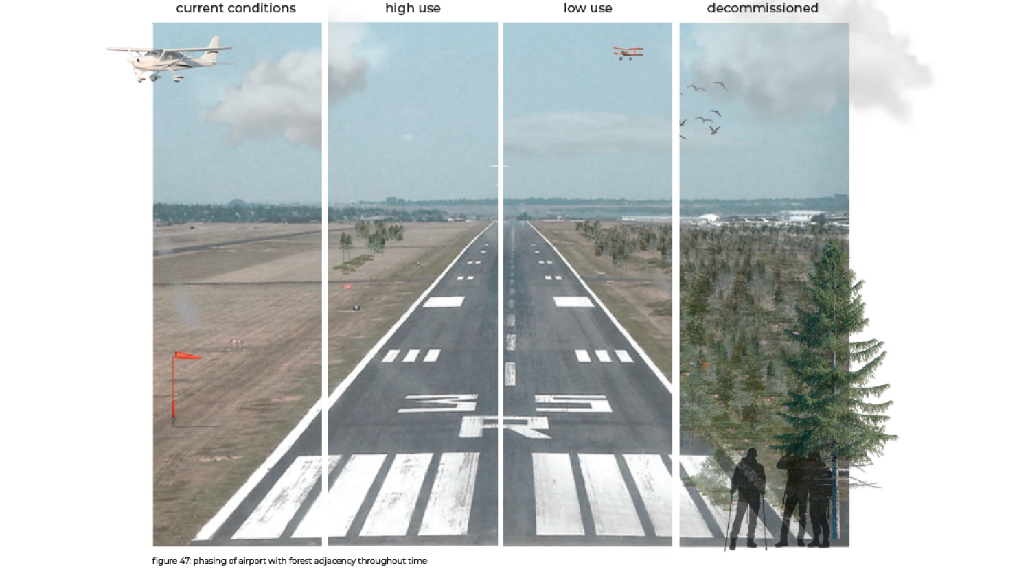 Forest Adjacency Rendering