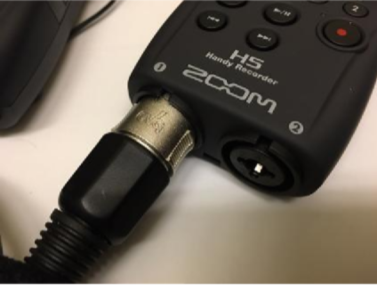 XLR input