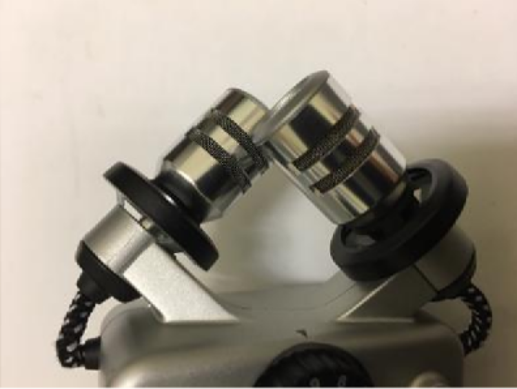 Built in mics