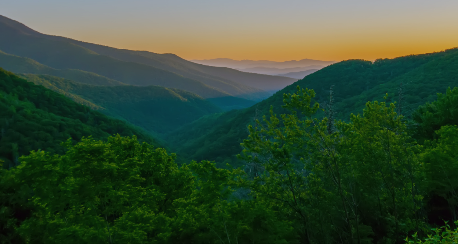 Land photo with trees and mountains