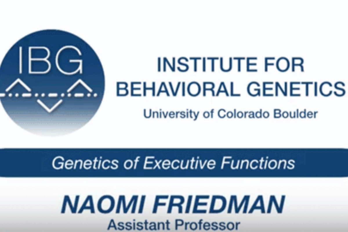 friedman lab