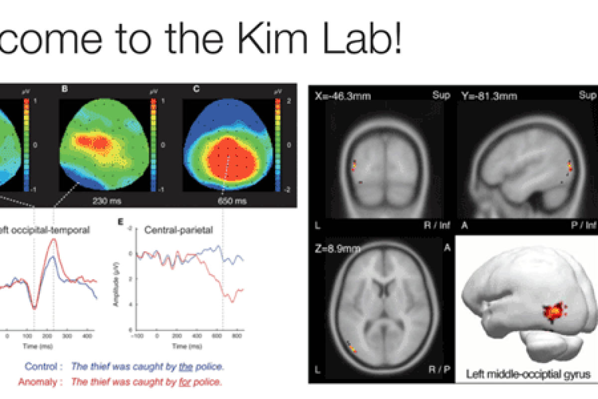 kim lab