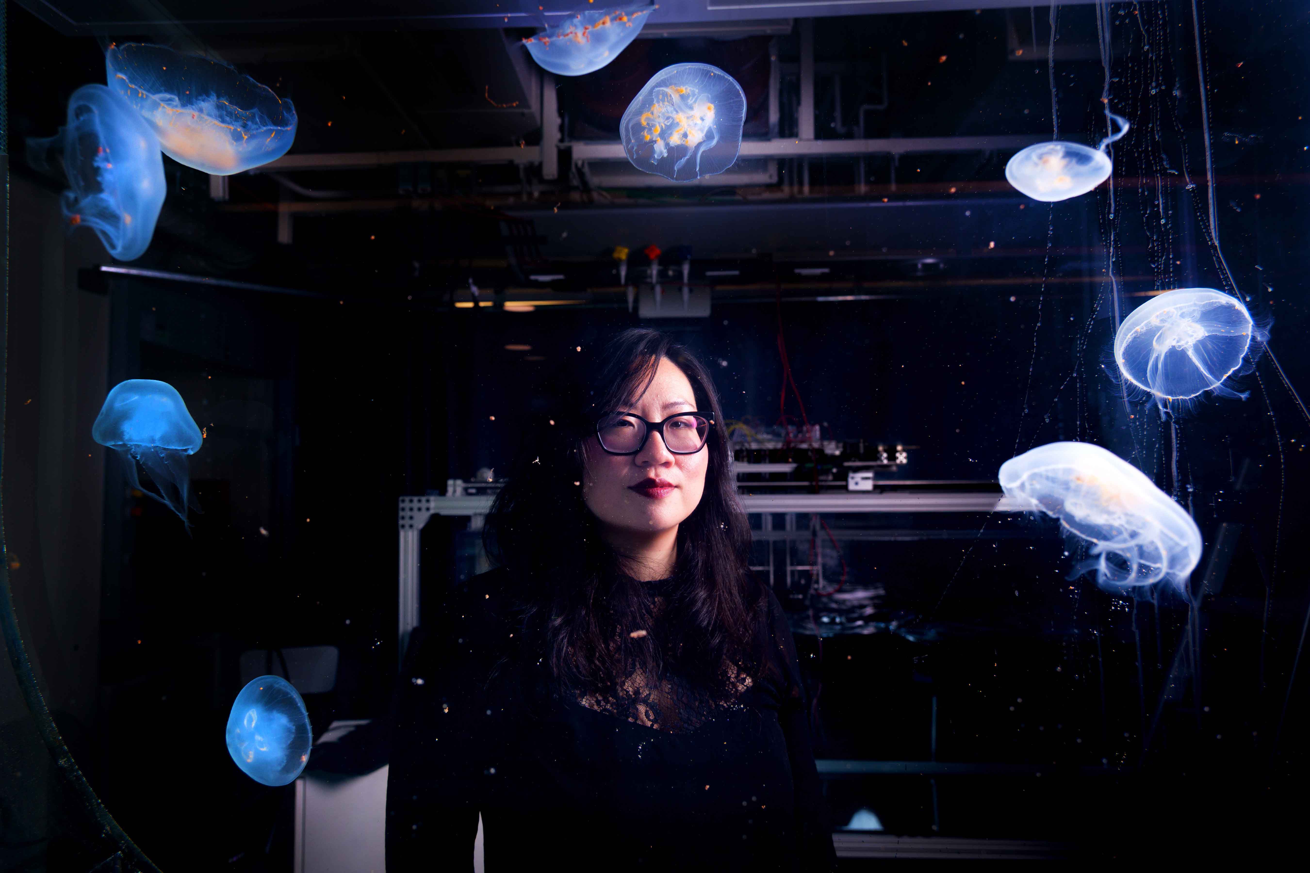 Cyborg Jellyfish at CU Boulder | Alumni Association | University of ...