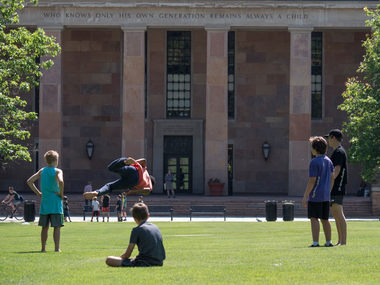 norlin quad