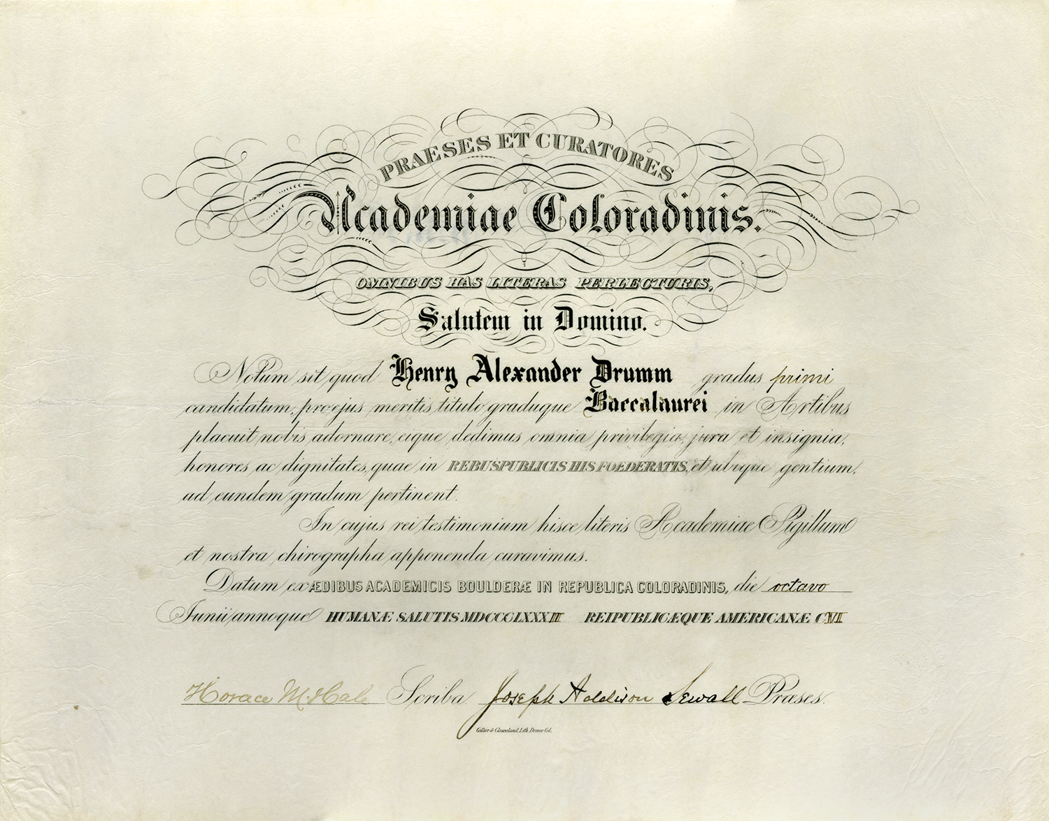 Drumm diploma 