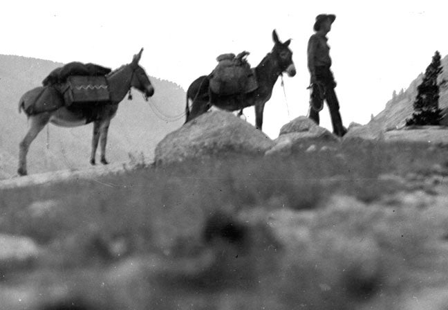 everett reuss and burros