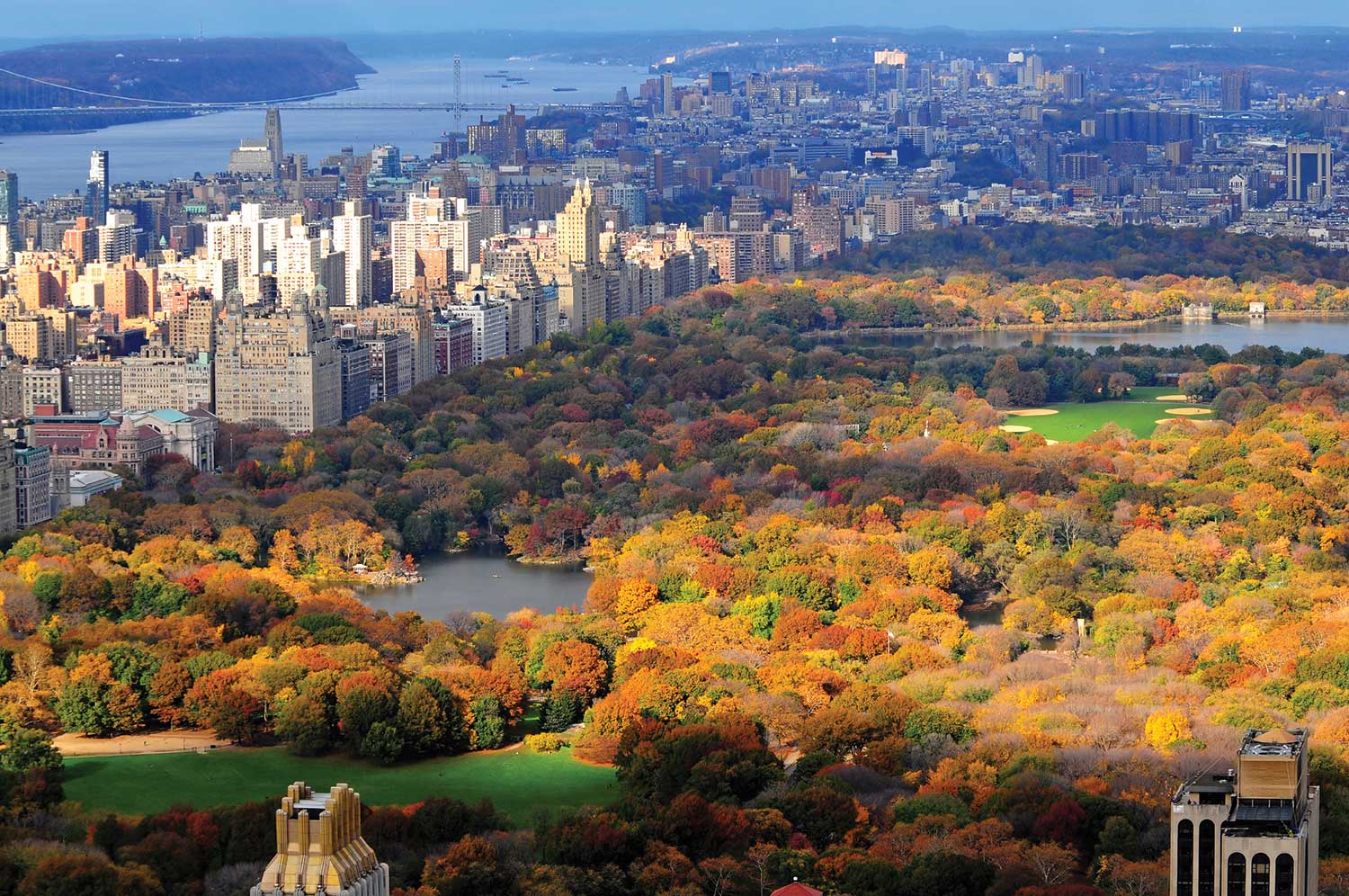 NYC's Central Park