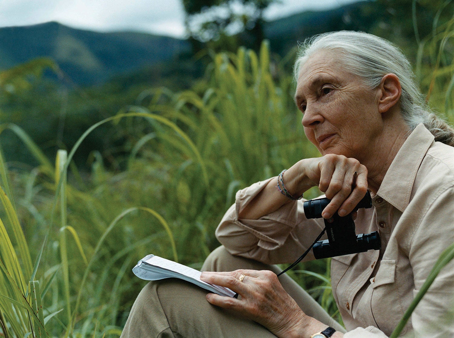 Jane Goodall