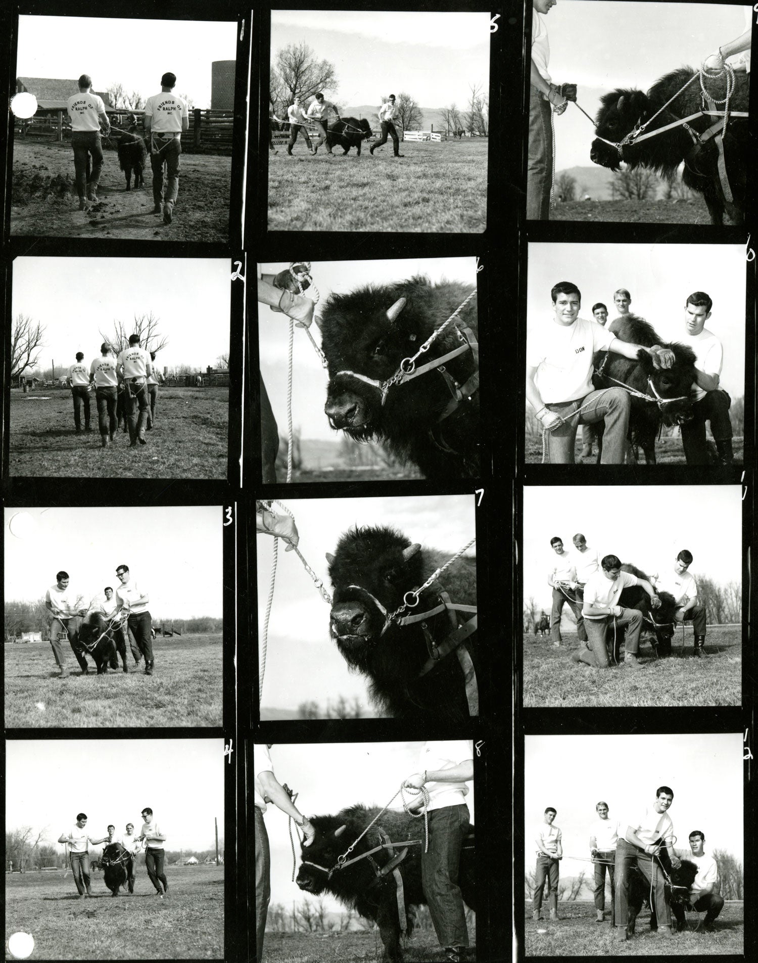 Ralphie Contact Sheet
