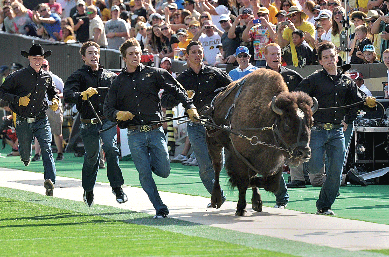 ralphie's visit cu boulder